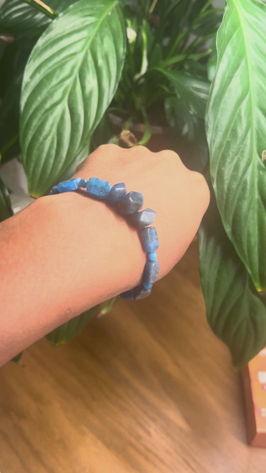 Songe de Waya - Talisman de vision, de force intérieure et de connexion animale